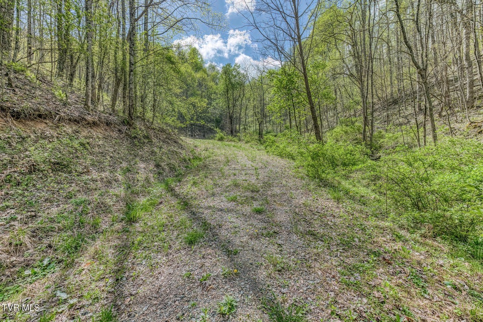 Photo #16: Tbd T Greer Road