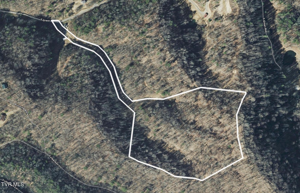 Photo #2: Tbd T Greer Road