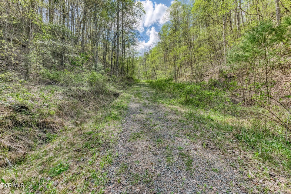 Photo #17: Tbd T Greer Road