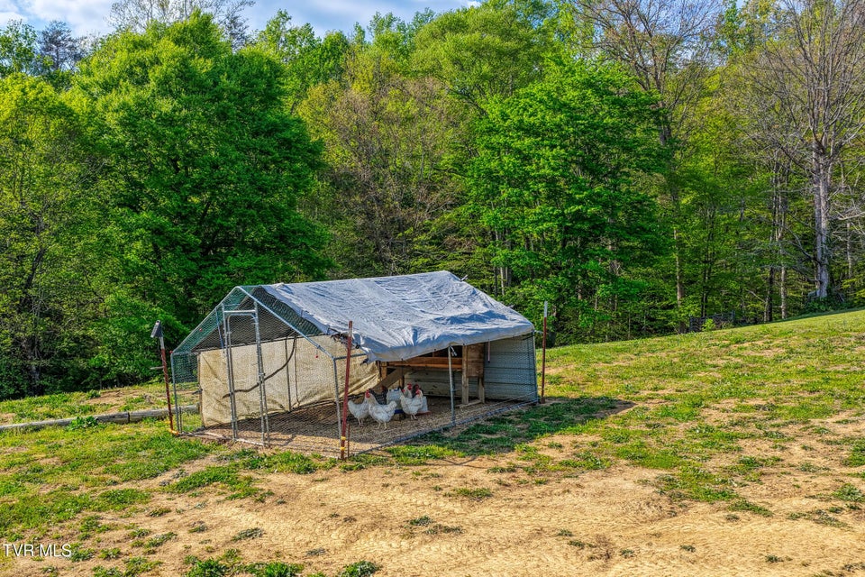 Photo #14: 336 Cloud Creek Road