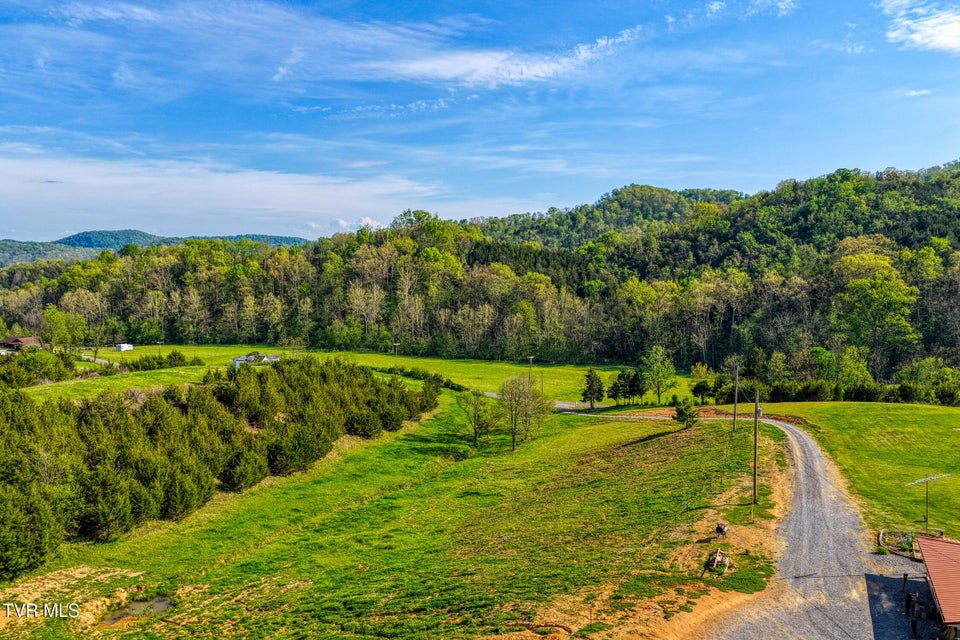 Photo #18: 336 Cloud Creek Road