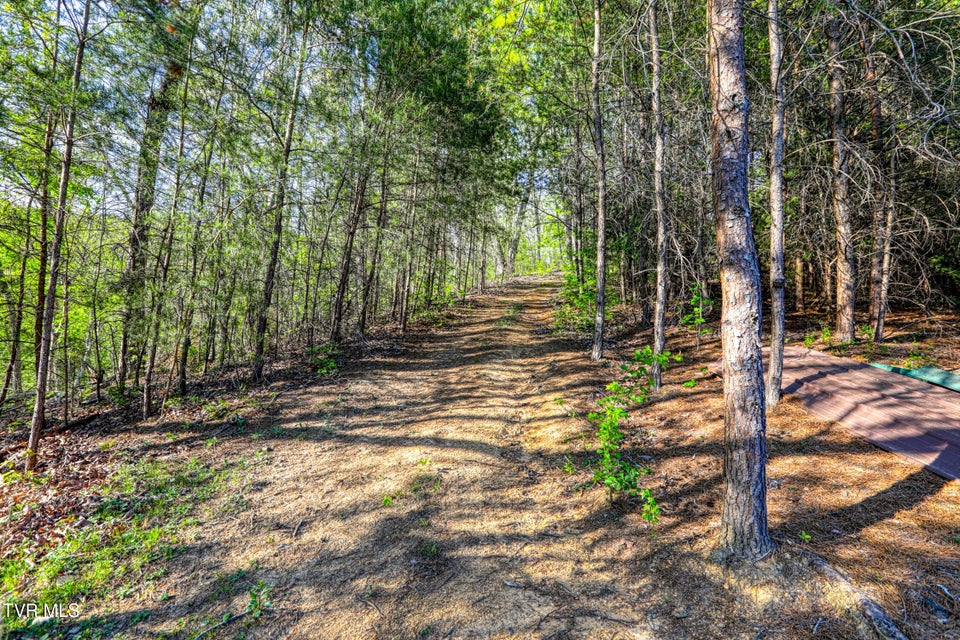 Photo #20: 336 Cloud Creek Road