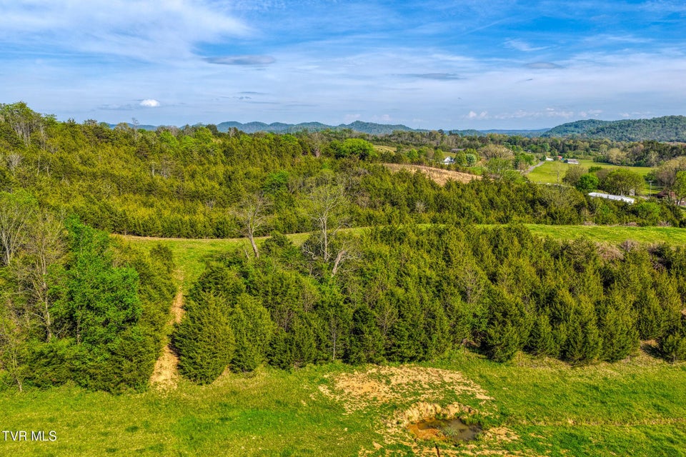 Photo #23: 336 Cloud Creek Road