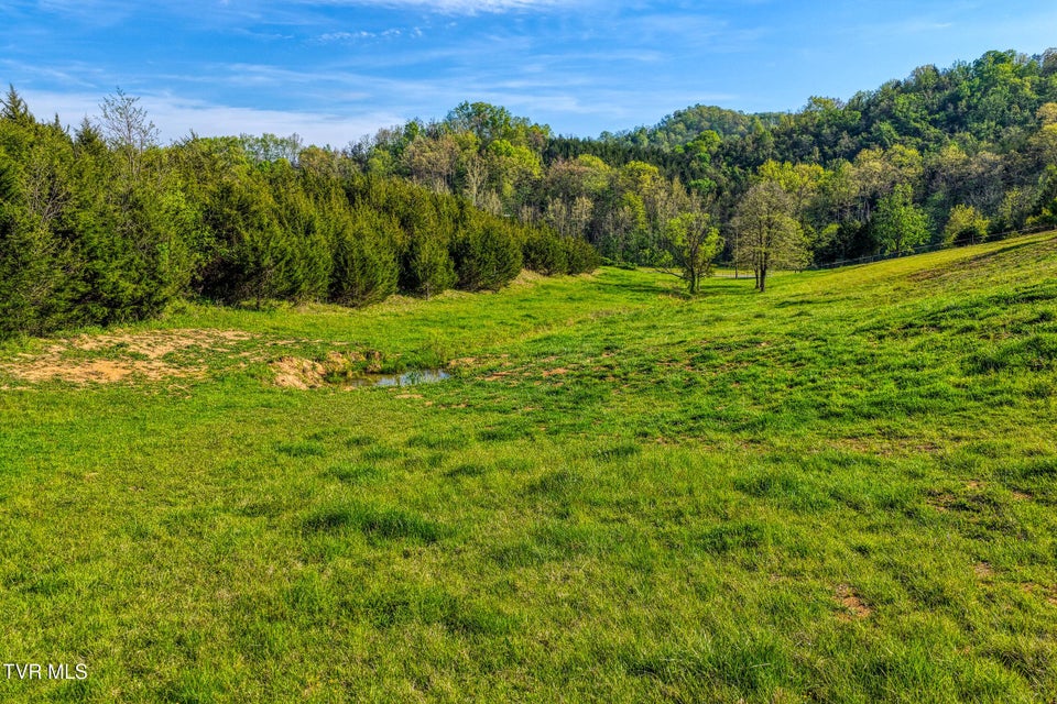 Photo #25: 336 Cloud Creek Road