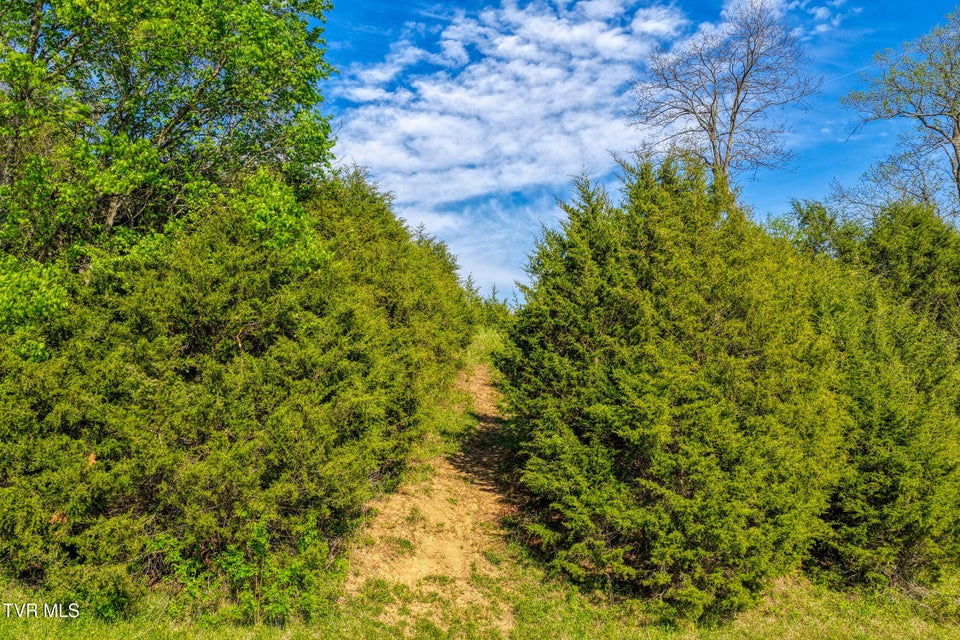 Photo #27: 336 Cloud Creek Road