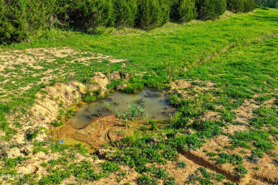 Photo #28: 336 Cloud Creek Road