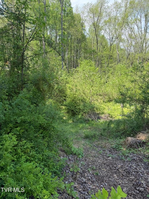 Photo #3: 310 Mitchell Court