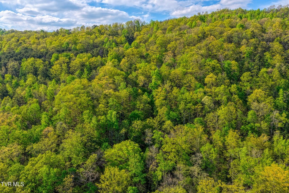 Photo #34: 336 Cloud Creek Road