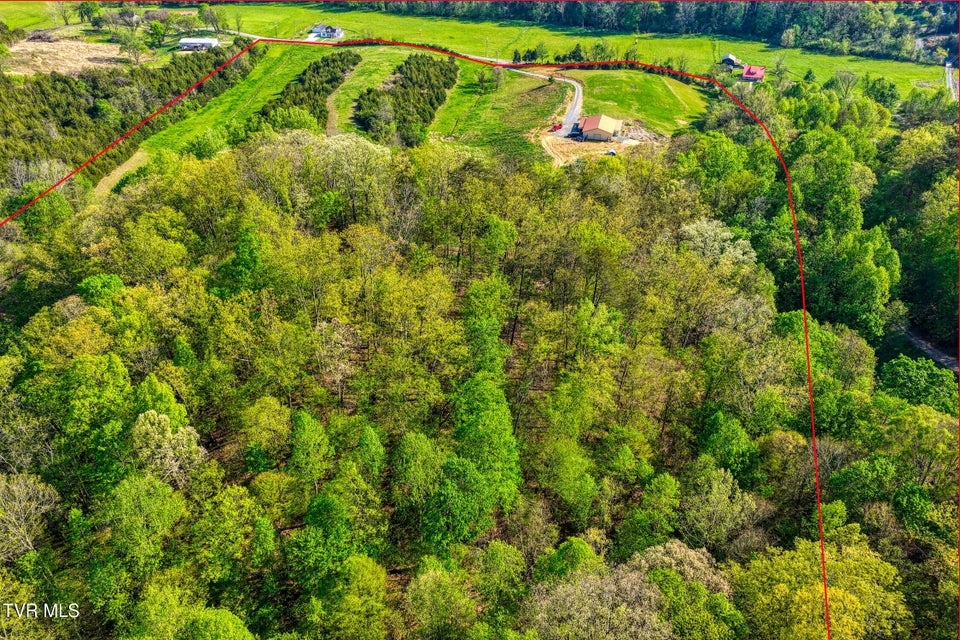 Photo #36: 336 Cloud Creek Road