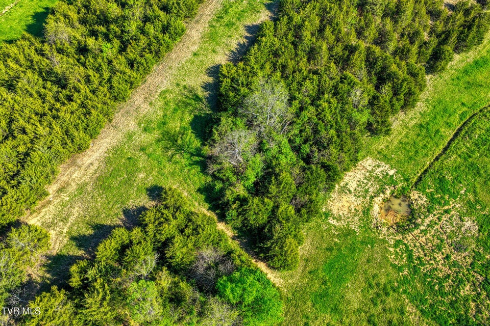 Photo #41: 336 Cloud Creek Road