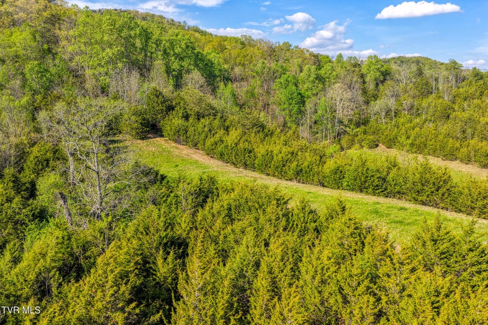 Photo #42: 336 Cloud Creek Road