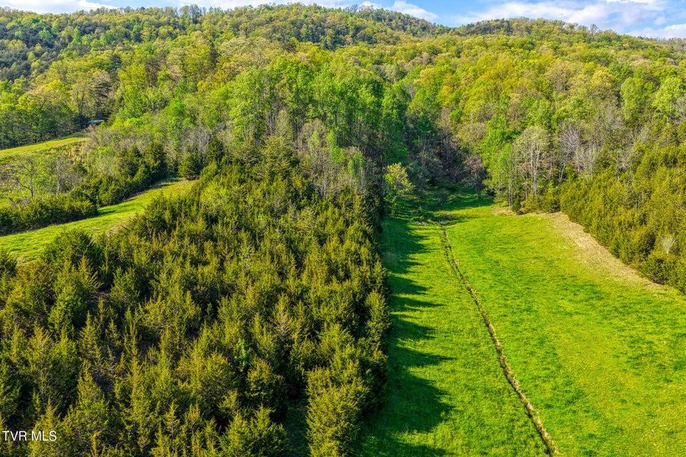 Photo #44: 336 Cloud Creek Road