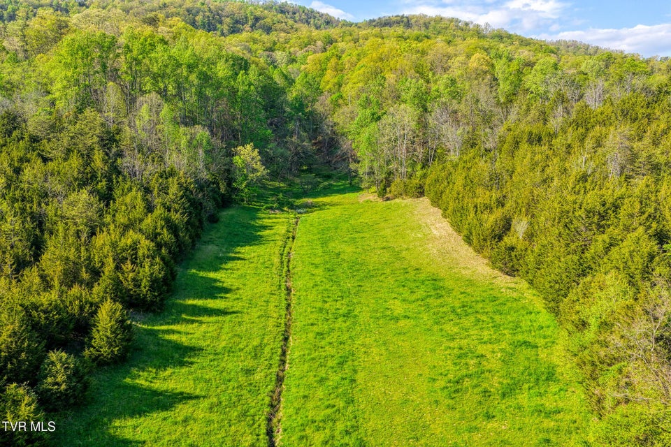 Photo #45: 336 Cloud Creek Road