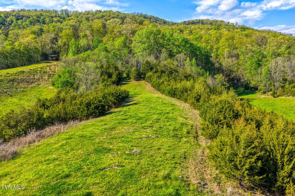 Photo #49: 336 Cloud Creek Road