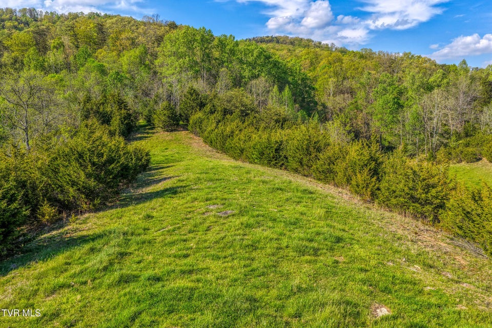 Photo #50: 336 Cloud Creek Road