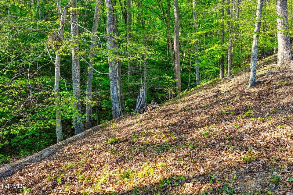 Photo #60: 336 Cloud Creek Road