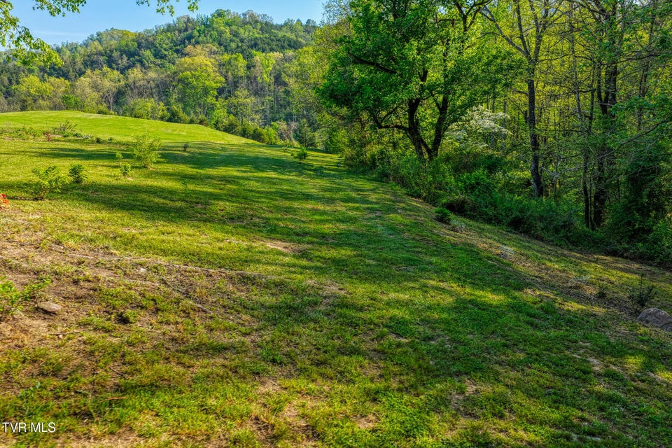 Photo #67: 336 Cloud Creek Road