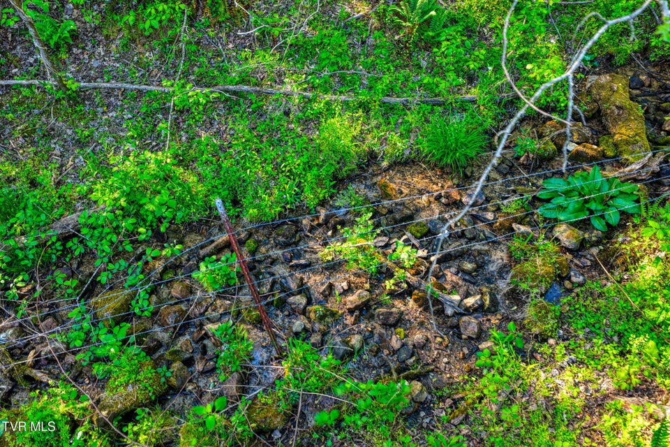 Photo #69: 336 Cloud Creek Road