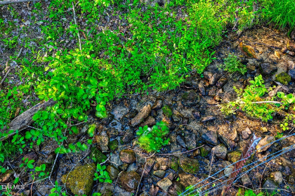 Photo #70: 336 Cloud Creek Road