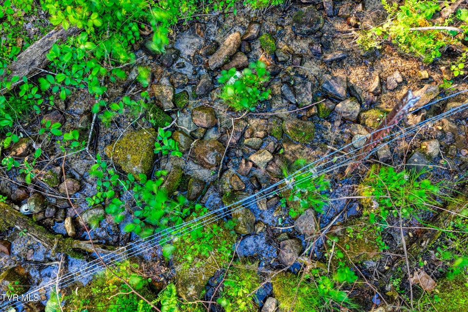 Photo #71: 336 Cloud Creek Road