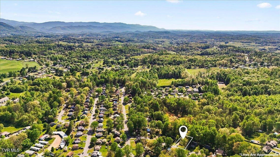 Photo #49: 2009 Dusty Drive