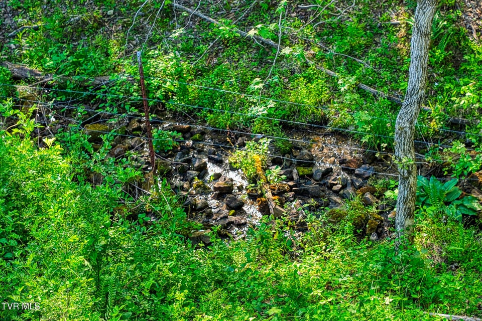 Photo #72: 336 Cloud Creek Road