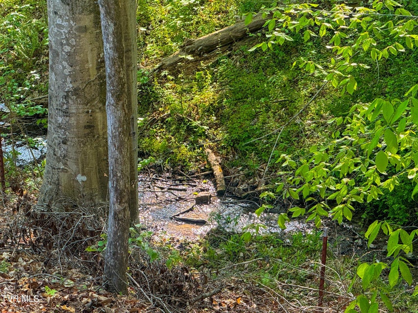 Photo #73: 336 Cloud Creek Road