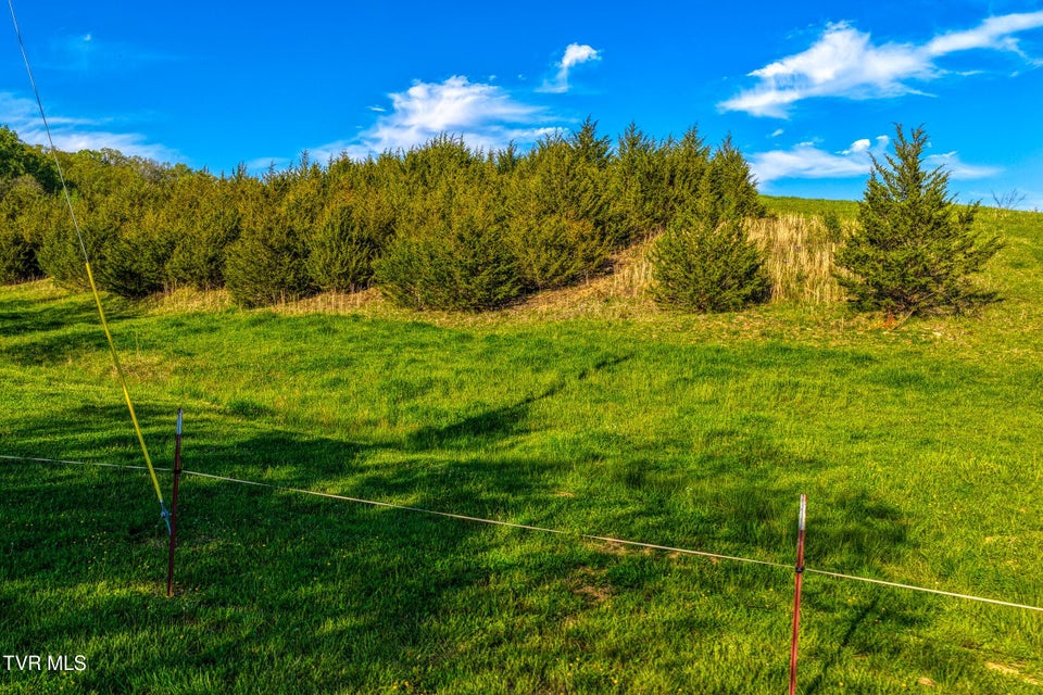 Photo #76: 336 Cloud Creek Road