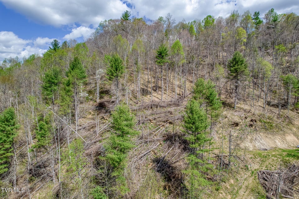 Photo #23: 633 T Greer Road