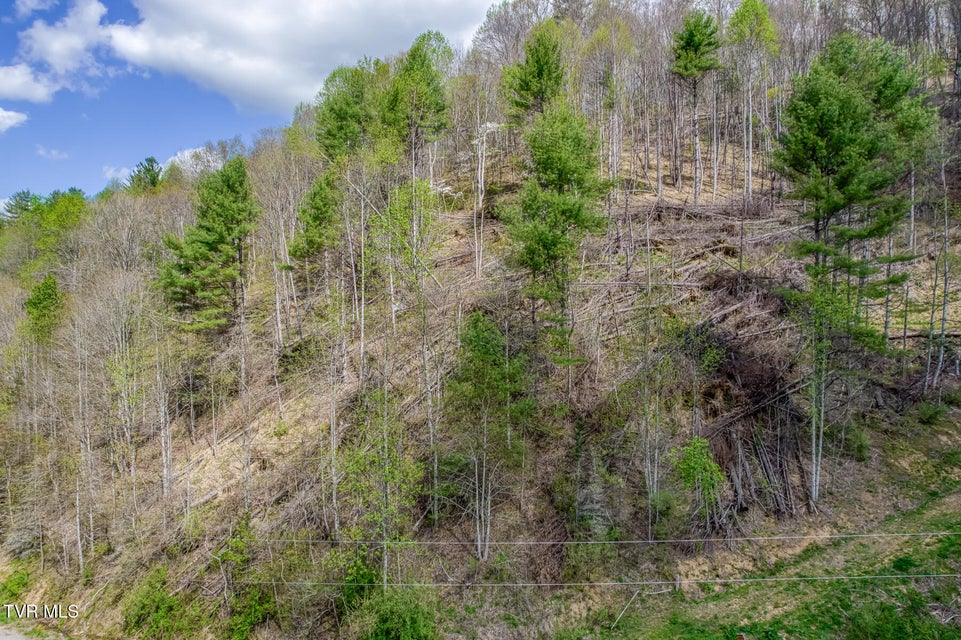 Photo #24: 633 T Greer Road