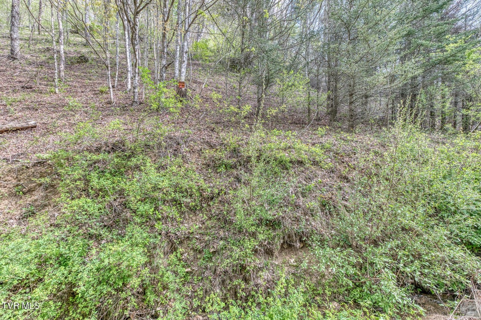 Photo #26: 633 T Greer Road