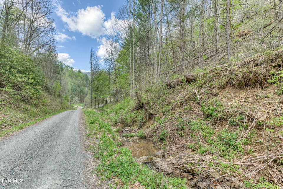 Photo #32: 633 T Greer Road