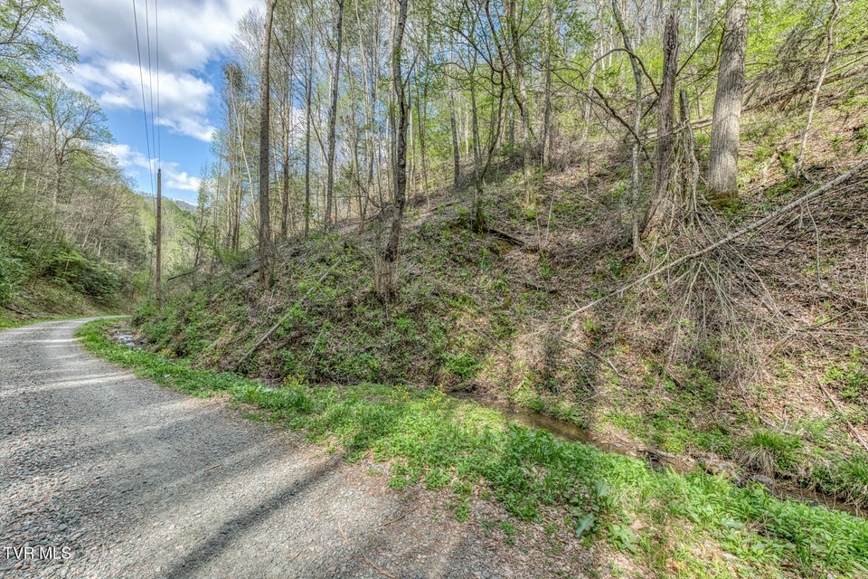 Photo #36: 633 T Greer Road