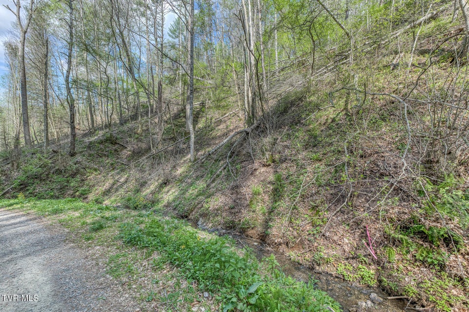 Photo #38: 633 T Greer Road