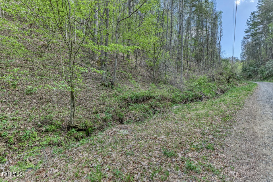Photo #39: 633 T Greer Road