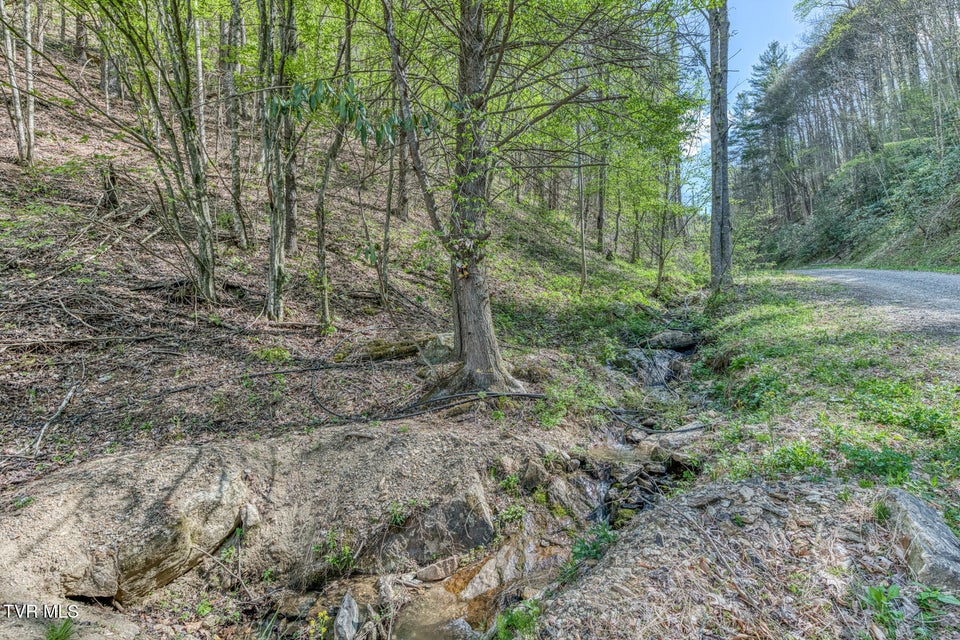 Photo #37: 633 T Greer Road