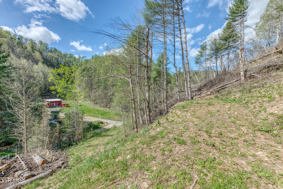 Photo #44: 633 T Greer Road