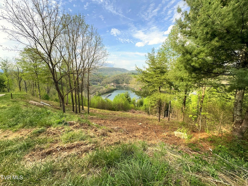 Photo #3: Lot 60 Cowan Town Road