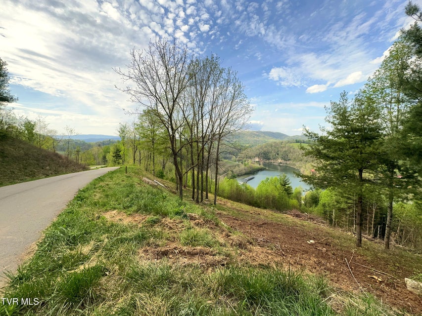 Photo #10: Lot 60 Cowan Town Road