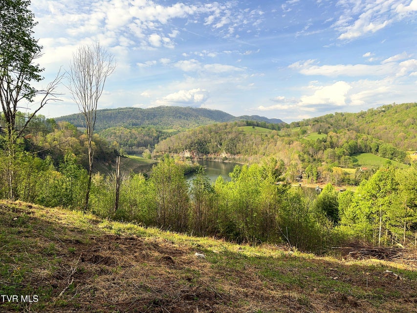 Photo #5: Lot 60 Cowan Town Road