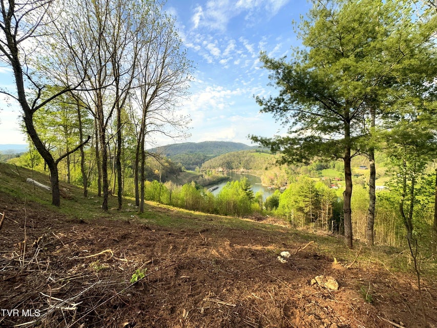 Photo #9: Lot 60 Cowan Town Road