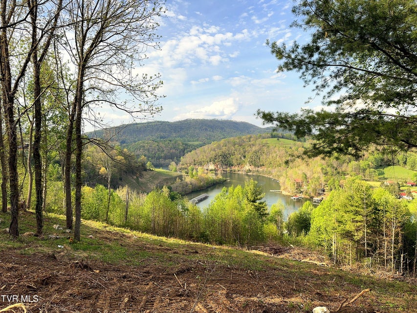 Photo #15: Lot 60 Cowan Town Road