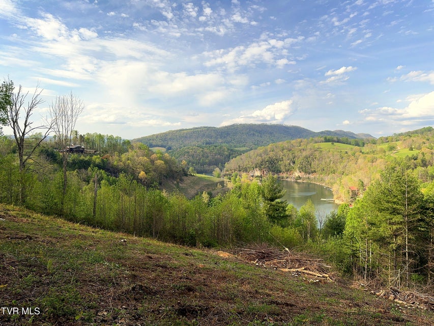 Photo #8: Lot 60 Cowan Town Road