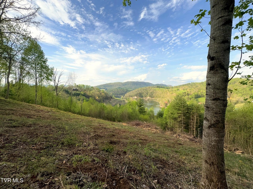 Photo #11: Lot 60 Cowan Town Road