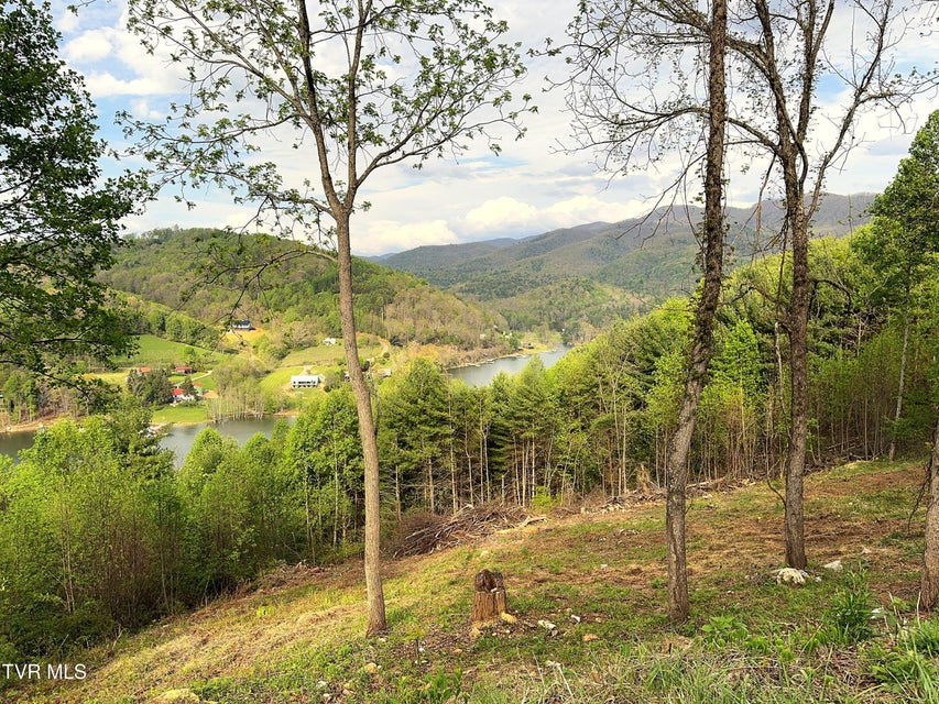 Photo #12: Lot 60 Cowan Town Road