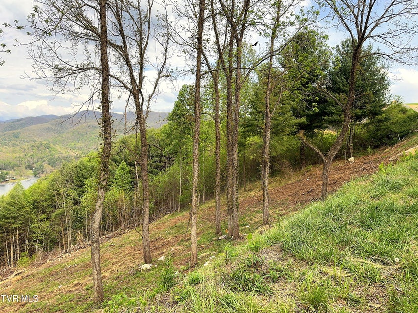 Photo #13: Lot 60 Cowan Town Road