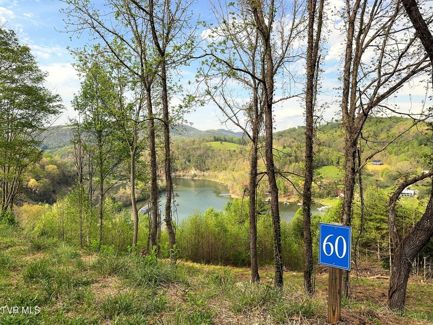 Photo #14: Lot 60 Cowan Town Road