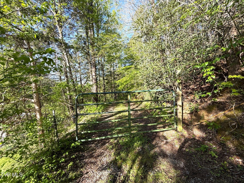 Photo #23: 2930 Arch Way