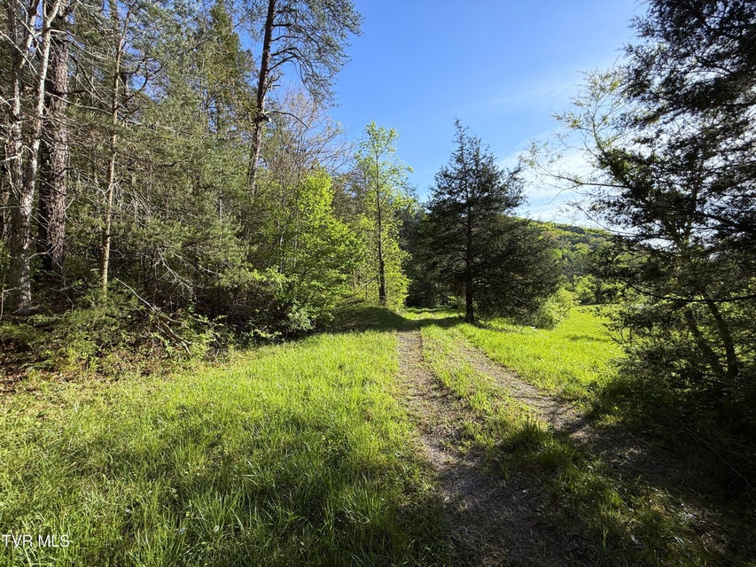 Photo #24: 2930 Arch Way