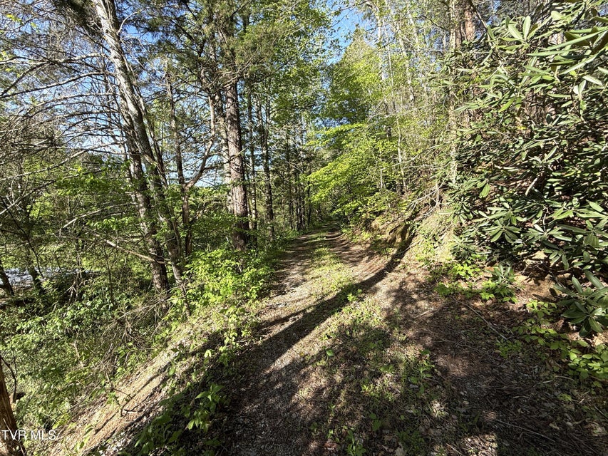 Photo #25: 2930 Arch Way